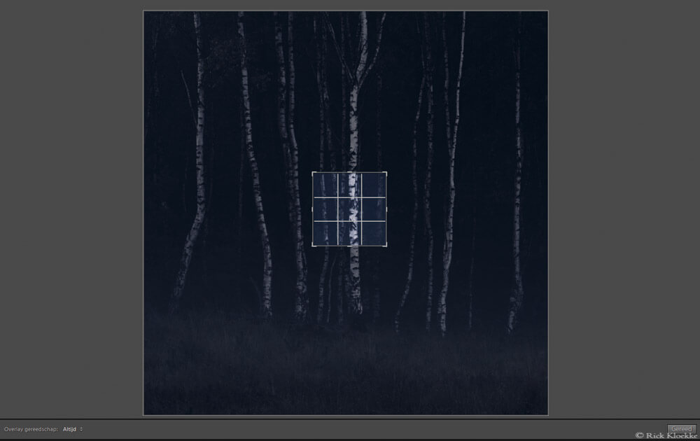 lightroom berken