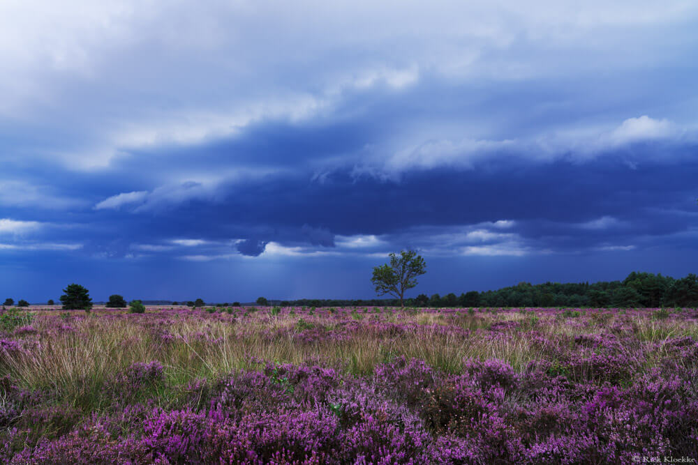 Onweersbui Veluwe