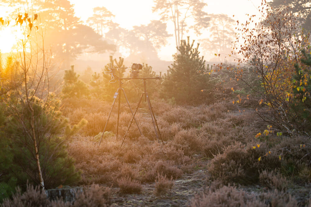 Timelapse The Veluwe