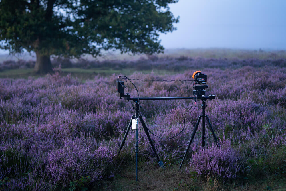 Timelapse The Veluwe