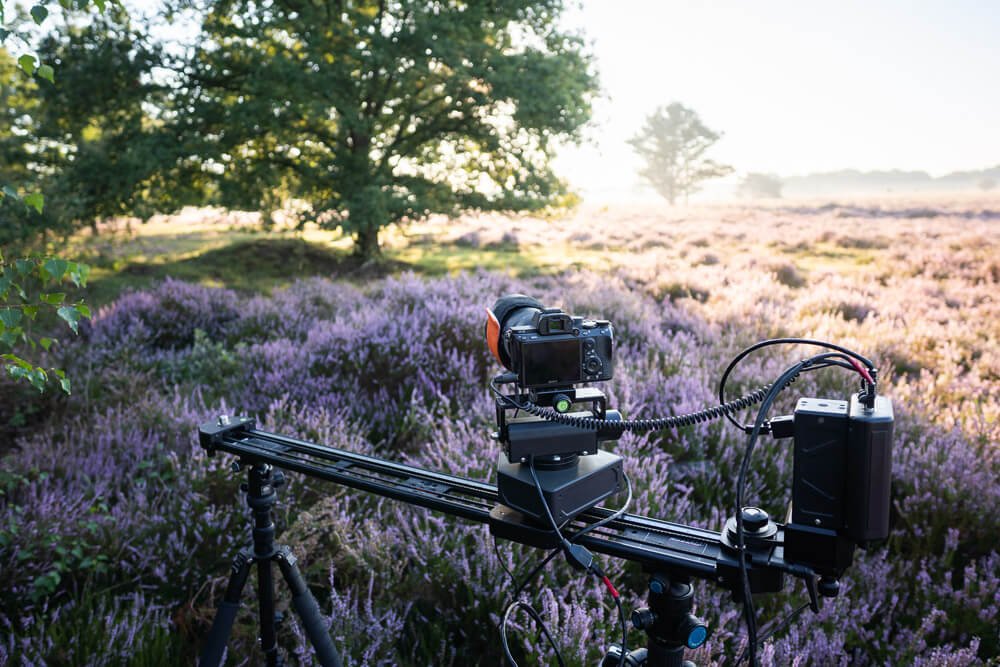 Timelapse The Veluwe
