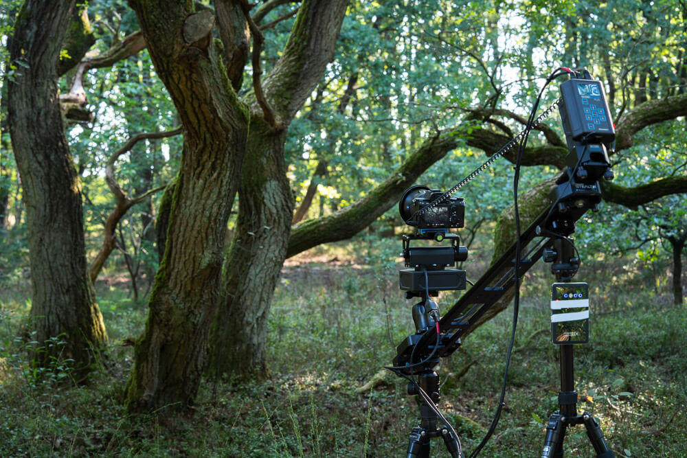 Timelapse The Veluwe