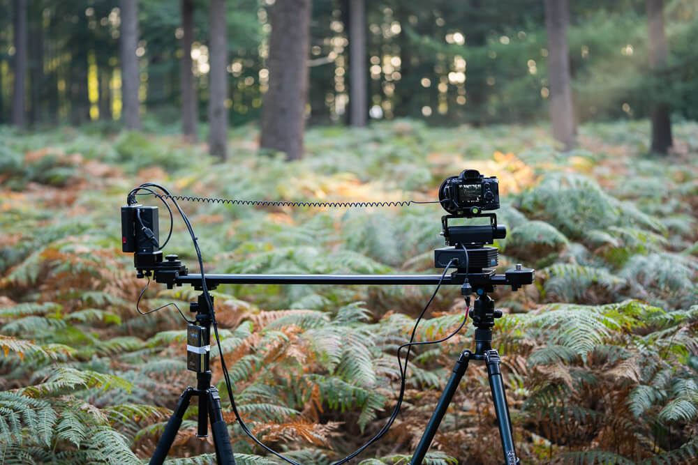 Timelapse The Veluwe