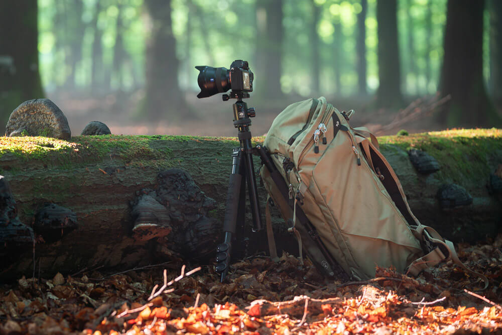 Timelapse The Veluwe
